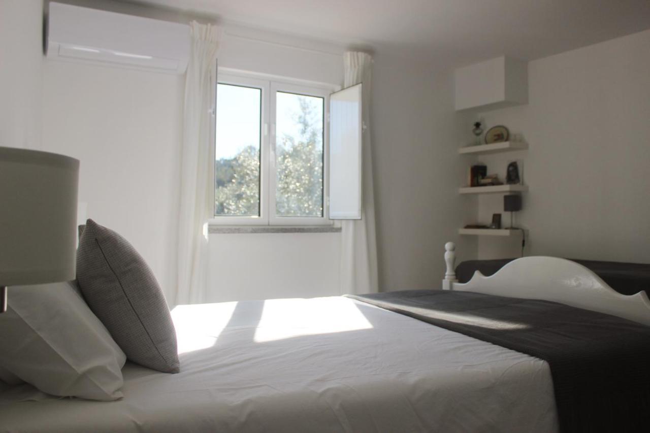 Casas D'Almofala Vila de Rei Exteriör bild